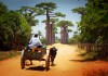 Betaalbare rondreis Madagaskar met 'local touch'