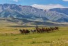 Hoogtepunten van Kazachstan